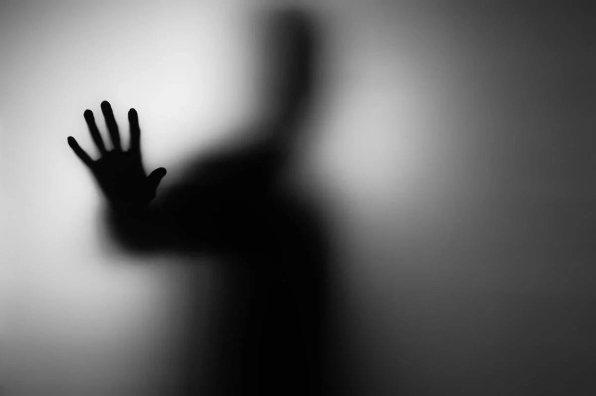 Как Тень «портит» нам жизнь? Как Тень «портит» нам жизнь?